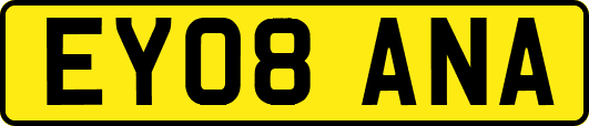 EY08ANA