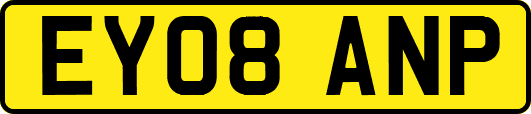 EY08ANP