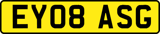 EY08ASG
