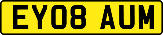 EY08AUM