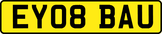 EY08BAU