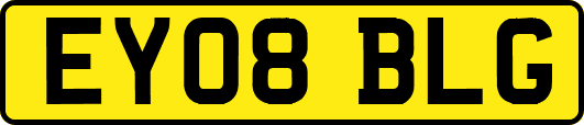 EY08BLG