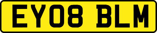EY08BLM