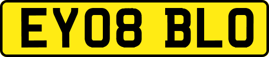 EY08BLO
