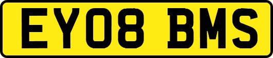 EY08BMS