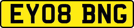 EY08BNG