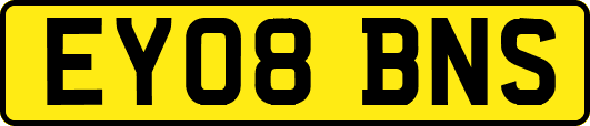 EY08BNS
