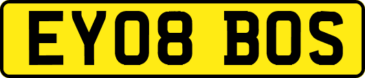 EY08BOS