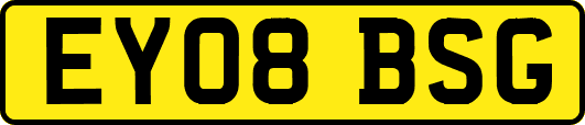 EY08BSG