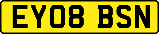 EY08BSN
