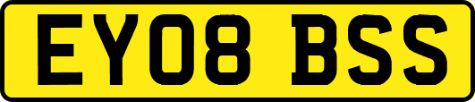 EY08BSS