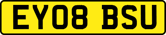 EY08BSU