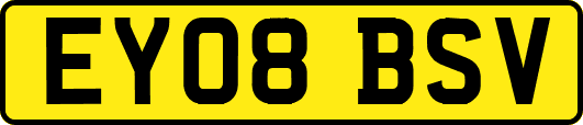 EY08BSV