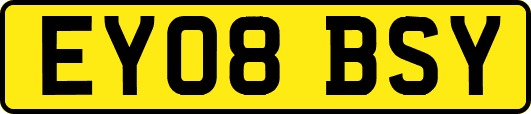EY08BSY