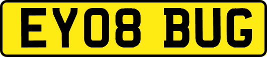 EY08BUG