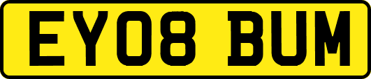 EY08BUM