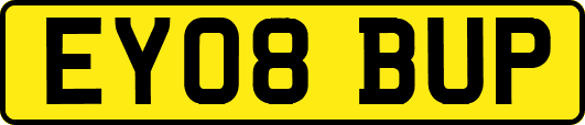 EY08BUP
