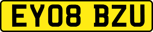 EY08BZU