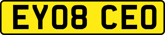EY08CEO