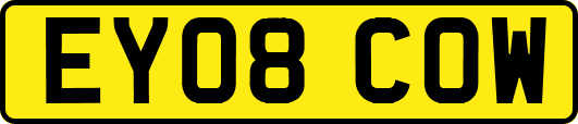 EY08COW