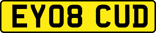 EY08CUD
