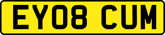 EY08CUM