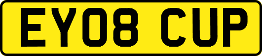 EY08CUP