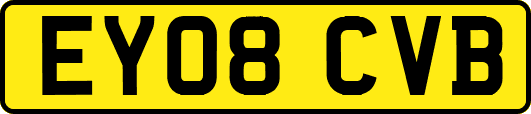 EY08CVB