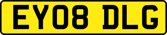 EY08DLG