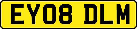 EY08DLM
