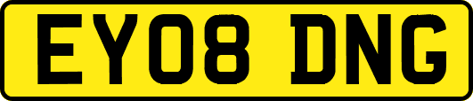 EY08DNG