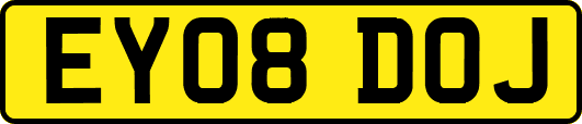 EY08DOJ
