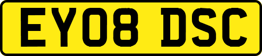 EY08DSC