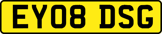 EY08DSG