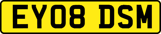 EY08DSM
