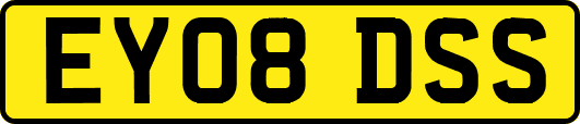 EY08DSS