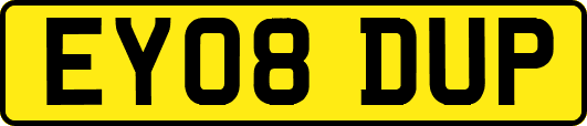 EY08DUP