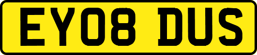 EY08DUS