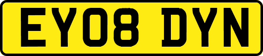 EY08DYN