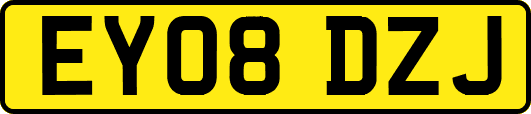 EY08DZJ