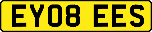 EY08EES