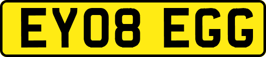 EY08EGG