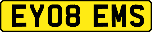 EY08EMS