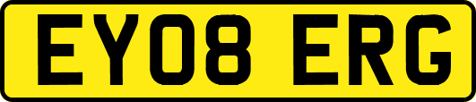 EY08ERG