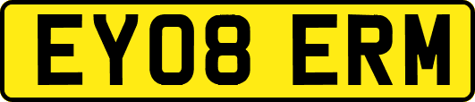 EY08ERM