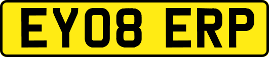 EY08ERP