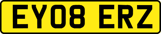 EY08ERZ