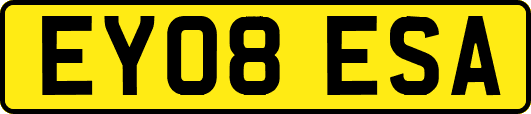 EY08ESA