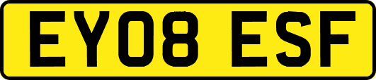 EY08ESF