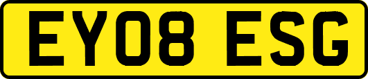 EY08ESG